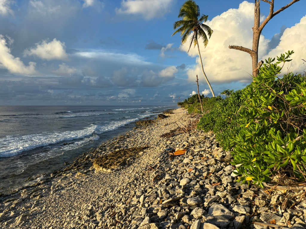 Pacific beach with ocean and vegetation